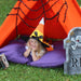 Orange Canvas Kids Teepee Play Tent, Four Sizes, Can Include Window, Halloween Teepee, Photo Prop Teepee, Poles Included